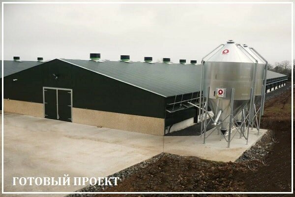 Этапы возведения птицефабрики от завода ВелесТент-мжг